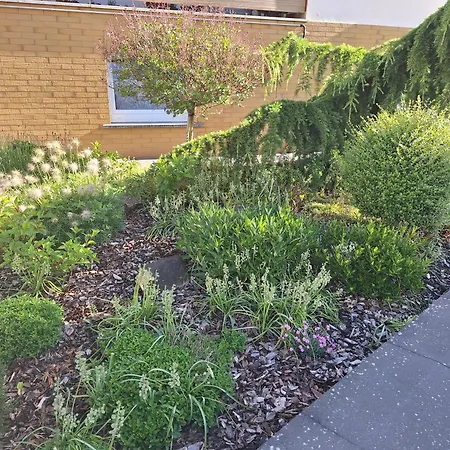 Kleine Sotel Nussbaum